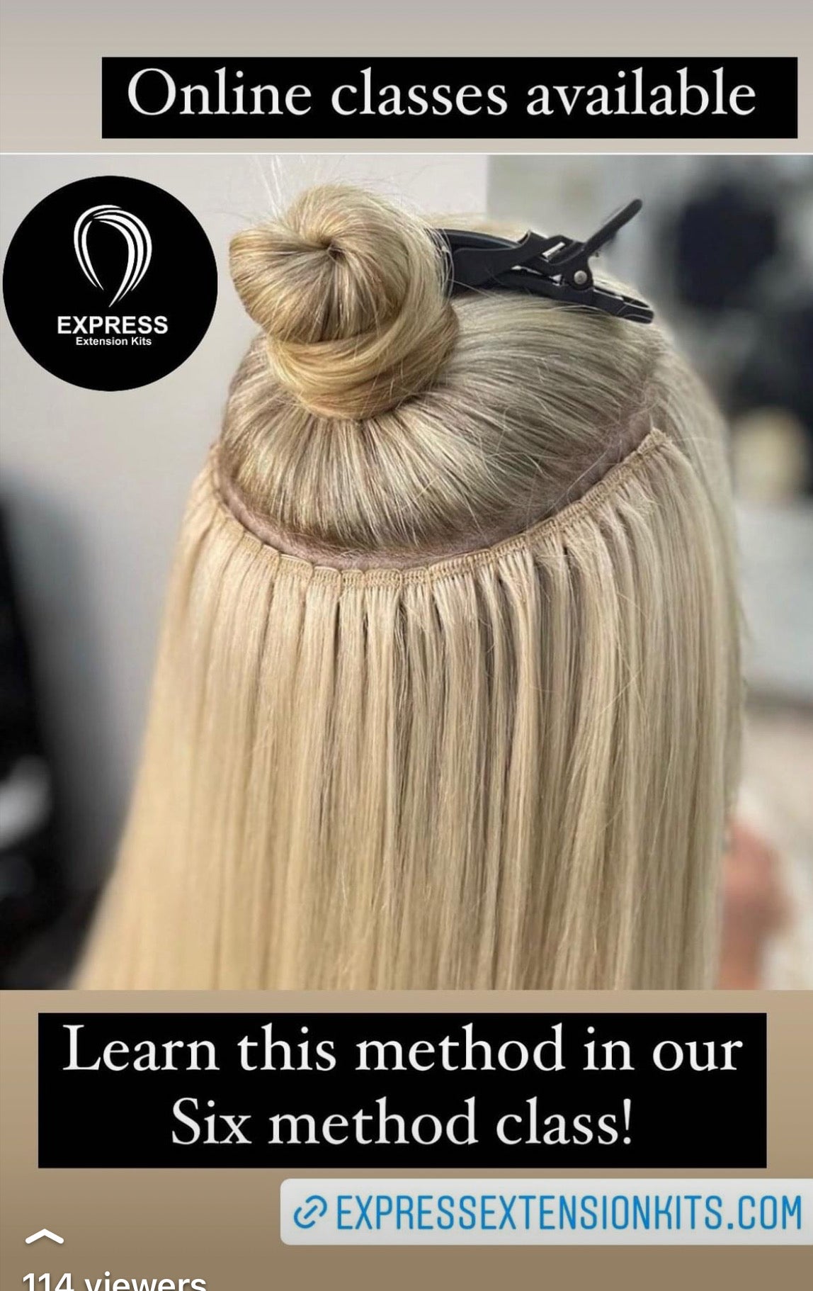 Online Hair Extension Certification Class – Only $199.99
